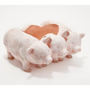 Evergreen PIG PLANTER - 1 of 1