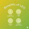 GE LED+ Motion A21 LED Light Bulb Daylight: 12W, 1100 Lumens, Outdoor Motion Detector, Energy Star Certified, E26 Base - image 4 of 4