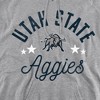Utah State University Official Aggies Adult Pull-Over Hoodie - 2 of 4