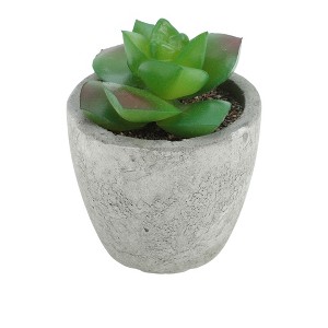 Unique Bargains Artificial Plants Mini Graptoveria in Pulp Plastic 2.36"x2.36"x3.15" 1 Pcs - 1 of 4