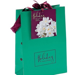 Van Zyverden 6ct Narcissus White Flower Bulb Set with Emerald Gift Bag - 1 of 4