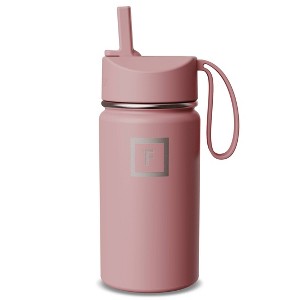 IRON FLASK 14oz Stainless Steel Water Bottle with Plastic Lid - 1 of 4