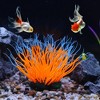 Unique Bargains Soft Silicone Glowing Aquarium Simulation Coral 4.33" Orange - 2 of 4