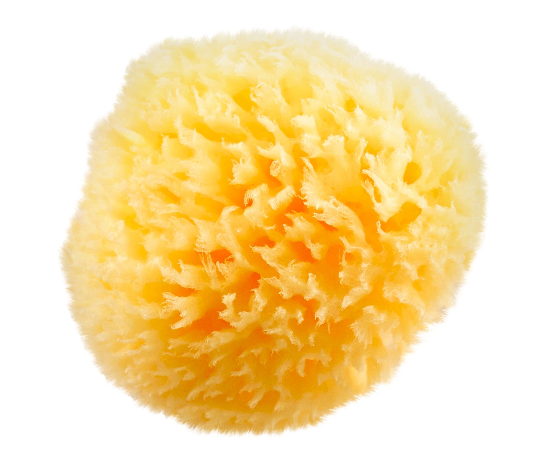 Baby Buddy Bath Sponges And Loofahs