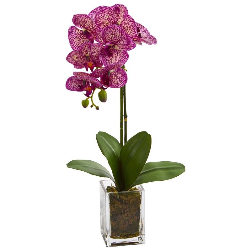 Nearly Natural 24-in Orchid Phalaenopsis Artificial Arrangement in Vase, 3 of 4