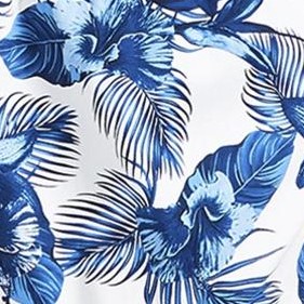 vintage hawaii