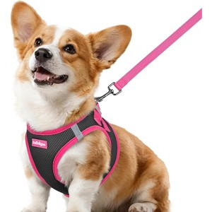 rabbitgoo Dog Harness Small Sized and Leash Set, Step-in Breathable Puppy Vest for Small Dogs, Black & Rose Red, L - 1 of 1