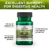 Swanson Premium Oregano Oil, Promotes Healthy Aging Functions, Helps Immune & Respiratory Function, Offers Antioxidant Defense, 150 mg (120 Softgels). - 4 of 4