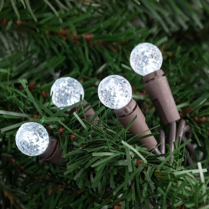 Northlight LED G12 Berry Christmas Lights - 16' Brown Wire - Pure White - 50 ct, 2 of 6