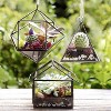 D'Eco Glass Geometric Plant Terrarium 3Pk - Hanging Triangle, House & Prism Planters - Home, Garden & Office Botanical Decor - Gift for Plant Lovers - 2 of 4