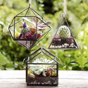 D'Eco Glass Geometric Plant Terrarium 3Pk - Hanging Brass Triangle, House & Prism Planters - Home, Office Decor- Gift for Plant Lovers & Mother's Day - 1 of 4