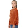 Girls Long Sleeve Cable Knit Sweater Crewneck Pullover Sweaters Kids Chunky Cute Fall Jumper Tops - 3 of 4