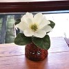 Floral Home 12" White Magnolia Pick - 12-Piece - 2 of 4