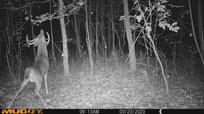 Guest review image 4 of 5, zoom in