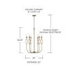 Capital Lighting Cohen 6 - Light Chandelier in  Mystic Luster - 2 of 4
