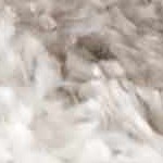 light gray, off white