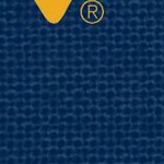 west virginia mountaineers