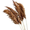 Alilang Decorative Mixed Dried Flower Bouquet for Home Decoration and Event Arrangements, 17 Inches - Red - 4 of 4