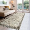 Coolmee Soft Contemporary Abstract Throw Rug Stain Resistant Washable Farmhouse Floor Cover for Living Room Playroom Nursery - 2 of 4