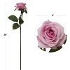Floral Home 20" Lavender Open Rose - 48-Piece - 2 of 2