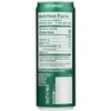 Zevia Ginger Ale Zero Calorie Soda - Case of 12/12 oz - 3 of 4