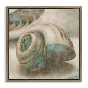 Stupell Industries Centered Sharkeye Seashell, 25" x 25" - 1 of 4