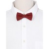 INSPIRE CHIC Men's Textured Solid Color Pre-tied Bow Ties - 3 of 3
