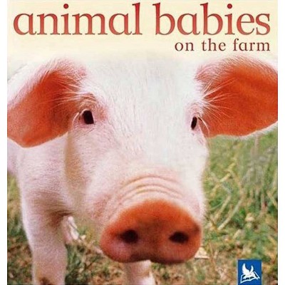 Animal Babies on the Farm - by  Kingfisher Books (Board Book)