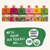 Peter Rabbit Organics Assorted Flavours Baby Food Pouch - 4oz/4.4oz - 3 of 4