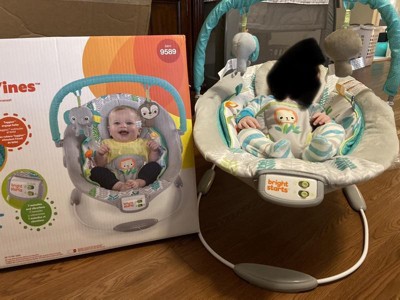 Bright Starts Jungle Vines Comfy Baby Bouncer With Vibrating Infant Seat &  Taggies : Target