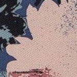 camellia（open wide）