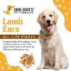 Dog Chits Lamb Ears for Dogs | All Natural Treats | Boiled and Baked with Nothing Added | Long Lasting Chew | Great for Dental Health | - 2 of 4