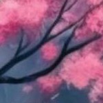 white mounts bundle