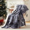 Heated Electric Throw Blanket, 5 Heat Settings & 4H Auto-Off, Machine Washable Soft Thick Velvet, Cozy Gift Idea - 2 of 4