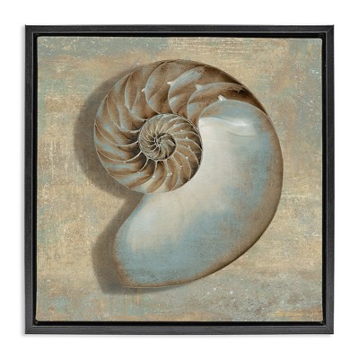 Stupell Industries Shell Beach Objects Design, 18" x 18"