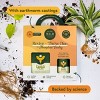 Houseplant Revive and Thrive Kit - WE THE WILD - 4 of 4
