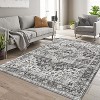 Acekool 8x10 Vintage Grey Washable Area Rug, Distressed Medallion Non-Slip Stain Resistant Carpet for Living Room, Bedroom, Home Decor - 3 of 4
