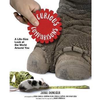 Curious Comparisons: A Life-Size Look at the World Around You - by  Jorge Doneiger (Hardcover)