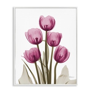 Stupell Industries Pink X-Ray Tulips, 11" x 14" - 1 of 4