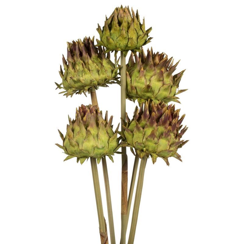 Vickerman Natural Dried Artichoke Head attached to a Reed Stem, Dried, 2 of 5