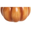 Gallerie II Harvest Pumpkin Card Holder - 3 of 3