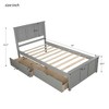 Twin Size Wood Platform Storage Bed with Trundle Bed/ Two Drawers-ModernLuxe - 3 of 4