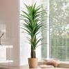 Wikineon Artificial Dracaena Tree 6ft-Tall Fake Plant with Black Planter-Faux Plants Indoor Tall Housewarming Gift,Tropical Yucca Silk Tree. - 4 of 4