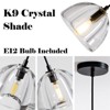 Terrena Crystal Hemisphere Pendant Light - 2 of 4