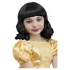 Fun World Costumes Pretty Princess Snow White Girls Wig - 2 of 2