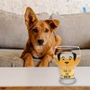 Pavilion Gift Company - Paws Off - DOG - 15 oz Pilsner Glass - Portable Drinkware - 2 of 4