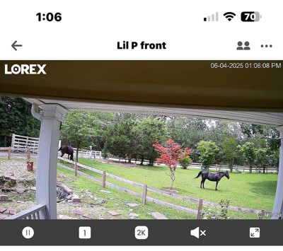 Guest review image 1 of 2, zoom in