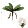 Floral Home 11" Green Phalaenopsis 5 Clusters Leaf - 12-Piece - 2 of 2
