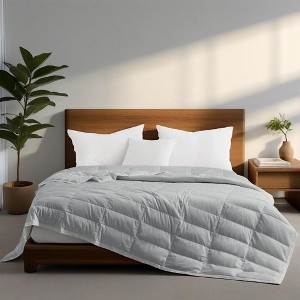 Puredown Lightweight Cooling Lyocell White Down Blanket, Tencel Comforter for Summer - 1 of 4