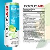 FOCUSAID Melon Mate' Nootropics Blend, Zero Sugar, 100mg Natural Caffeine, Alpha-GPC, GABA, No Artificial Sweeteners, 12 Fl Oz (Pack of 24) - 3 of 4